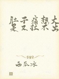 肚子痛想大便但是又拉不出来是什么原因