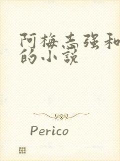 阿梅志强和小可的小说