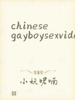 chinesegayboysexvideo封面