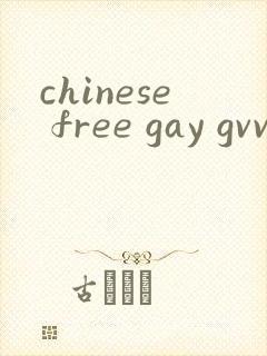 chinese free gay gvvideo