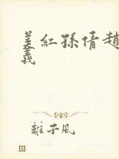 美红孙倩赵敏高义