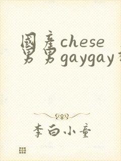国产chese男男gaygay视频网站