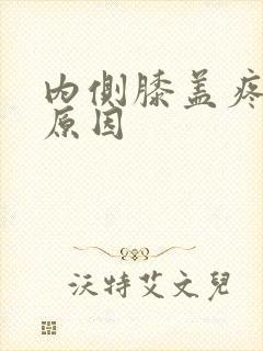 内侧膝盖疼痛的原因