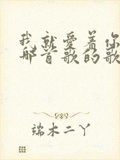 我就爱着你,是哪首歌的歌词