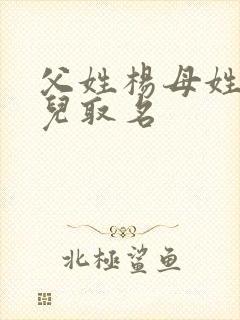 父姓杨母姓陈娃儿取名