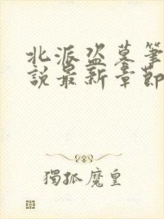 北派盗墓笔记小说最新章节在线