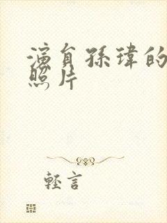 演员孙玮的老婆照片