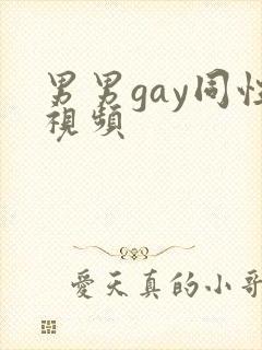 男男gay同性视频