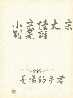 小宋佳大宋佳分别是谁