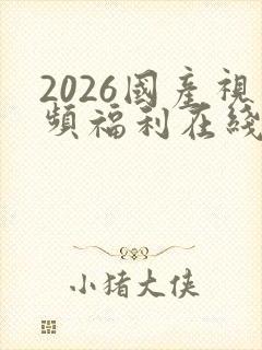 2026国产视频福利在线观看