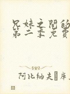 兄妹之间的秘密第二季免费观看动漫全集