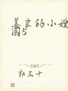 善良的小嫂子韩国5封面