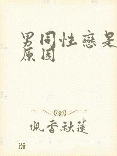 男同性恋是什么原因