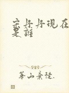 宋丹丹现在丈夫是谁