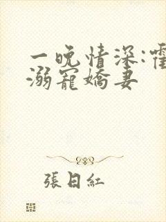 一晚情深:霍少溺宠娇妻封面