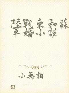 陆战东和苏灿的军婚小说封面