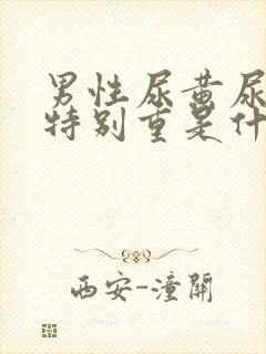 男性尿黄尿骚味特别重是什么原因