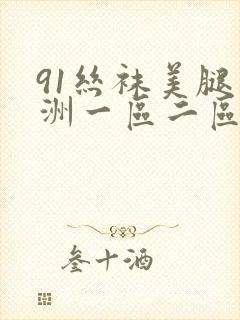 91丝袜美腿亚洲一区二区