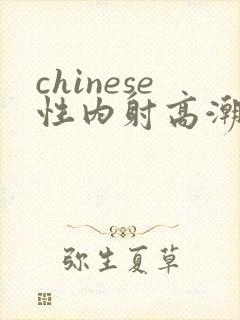 chinese性内射高潮国产