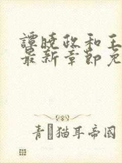 谭晓政和王艳的最新章节免费阅读