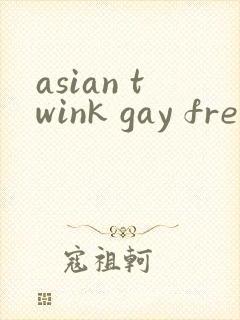 asian twink gay free封面