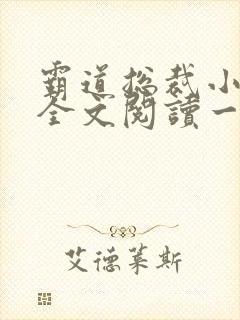 霸道总裁小娇妻全文阅读一百万封面