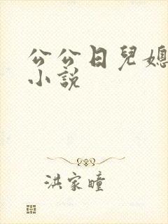公公日儿媳妇b小说封面