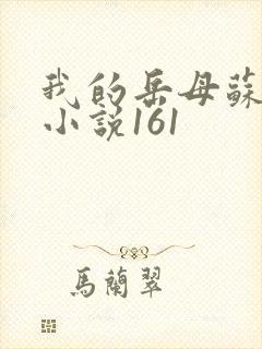 我的岳母苏沛真小说161封面