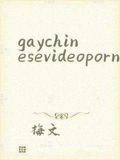 gaychinesevideoporn