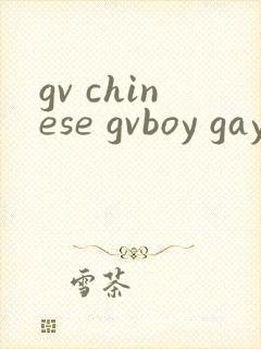 gv chinese gvboy gay tube封面