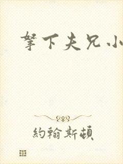 拿下夫兄小说封面