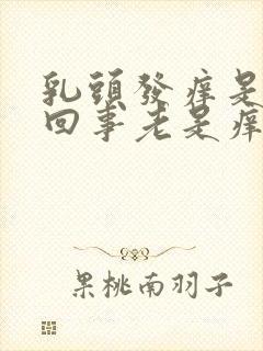 乳头发痒是怎么回事老是痒痒的