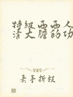 特级西西人体高清大胆的功能介绍