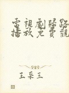 电视剧归路全集播放免费观看封面