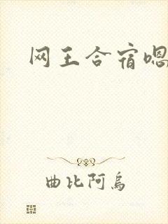 网王合宿嗯高h封面