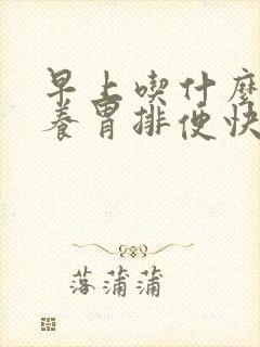 早上吃什么通便养胃排便快