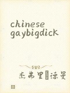 chinesegaybigdick