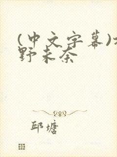 (中文字幕)北野未奈