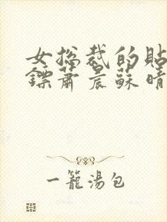 女总裁的贴身保镖萧晨苏晴