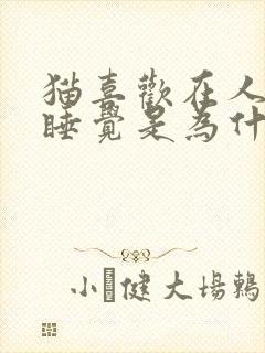 猫喜欢在人胸口睡觉是为什么