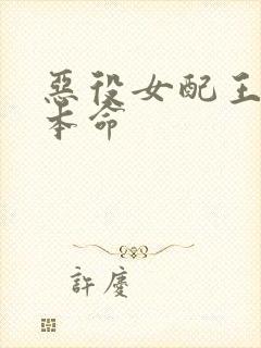 恶役女配王子是本命