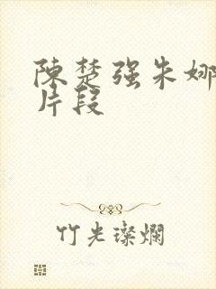 陈楚强朱娜经典片段