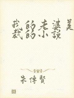 我的老婆美女总裁的小说