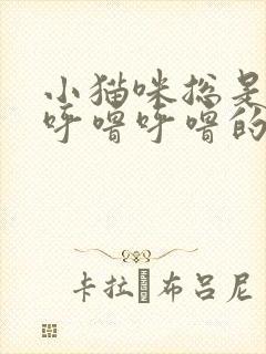 小猫咪总是发出呼噜呼噜的声音是怎么回事