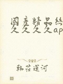 国产精品丝袜久久久久久app