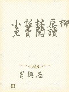 小说林辰柳扶鸾免费阅读封面