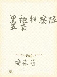 黑袍纠察队 第五季