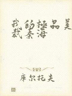 我的极品美女总裁秦海