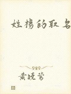 姓杨的取名大全封面