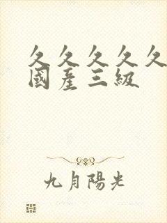 久久久久久精品国产三级